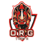 ОРГ Юниор