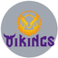 MGN Vikings Academy