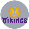 MGN Vikings Academy