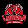 АПВЕ Лондрина U17