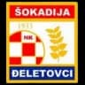 НК Шокадия Джелетовци