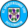 ФК Спортфрейнде 1910 Доссенхайм