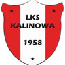 ЛКС Калиновая
