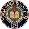Намыккемалспор