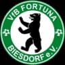 ФВБ Фортуна Бисдорф