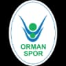 Анкара Орманспор
