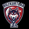 ФК Бозкуртлар