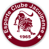 Жакуипенсе U20