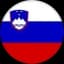 Словения U17