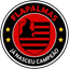 ФлаПалмас U13