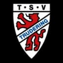 ТСВ Трудиринг