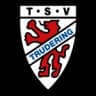 ТСВ Трудиринг