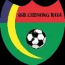 Чибинонг Рая U13