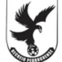 Рекрейо Педрогунсе U17