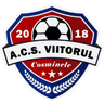АС Viitorul 2018 Козминеле