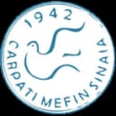 Карпати МЕФИН Синая