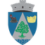 АС Инфратциря Тарна Маре