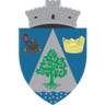 АС Инфратциря Тарна Маре