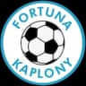 АС Фортуна Кăплени