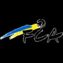 ФК Адлисвилль
