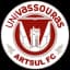 Унивассурас Артсул U20