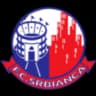 ФК Србианка Мошница Вечи