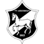 ВВ Ассенделфт