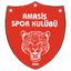 Амасисспор