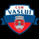 ГК Васлуй