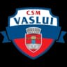 ГК Васлуй