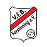 ФвБ Форстинин
