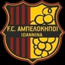 АО Ампелокипои Иоаннион