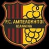 АО Ампелокипои Иоаннион