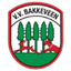 ВВ Баккевейн