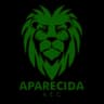 Апаресида ЭК U13