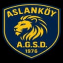 Асланкёй ГСД