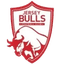 ФК Джерси Буллс U14