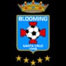 Блуминг U19