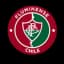Флуминенсе Чили U14