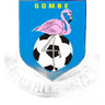 Флэш Фламинго ФК Гомбе