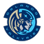 Орландо Валькирии (жен.)