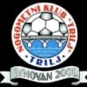 НК Триль 2001 U15