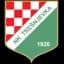 НК Трешневка U12