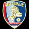 ОФК Спартак 2013