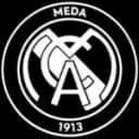 Меда 1913