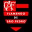 Фламенго де Сан-Педро U15