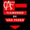 Фламенго де Сан-Педро A U13