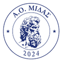 АО Мидас 2024