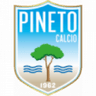 Пинето U16