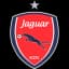 Ягуар U20